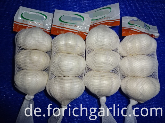 Good Quality Pure White Garlic